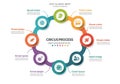 Circular infographic featuring eight connected segments, each with icons Royalty Free Stock Photo