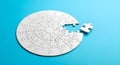 Circular Jigsaw Puzzle with Missing Piece Royalty Free Stock Photo