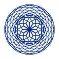 The circular mesh pattern in blue