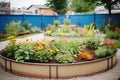 circular metal garden beds with blooming flora