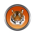 Circular, metallic tiger head icon. Orange gradient. Isolated on white