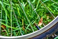 Bicycle wheel with nipple valve close up on the grass background Royalty Free Stock Photo