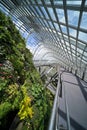 Circular pathway around the `Cloud Mountain` located within the `Cloud Forest` conservatory at the Gardens by the Bay, Singapore