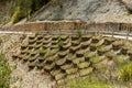 Circular plant supports to contain a parterre of land Royalty Free Stock Photo