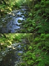 Circular polarizer filter effect