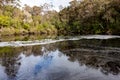 Circular Pool near Walpole in Western Australia creating a foam because of saponin