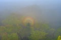 Circular Rainbow in the Rainforest Mist in Early Morning Royalty Free Stock Photo