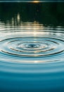 Circular ripples on a calm water surface create a concentric pattern, reflecting soft Royalty Free Stock Photo