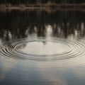 Circular ripples emanate outward across calm, reflective water, creating a series of