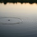 Circular ripples spread across a calm body of water, creating a concentric pattern. The