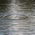 Circular ripples spread across a calm water surface, creating a pattern of concentric
