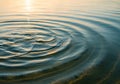 Circular ripples spread across the surface of clear water, creating Royalty Free Stock Photo