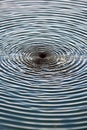 circular ripples in water caused by a droplet