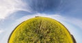 Circular rotation of the hemisphere of the earth on a rapeseed field in blue sky. loop revolve