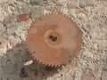 Circular saw