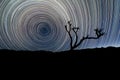 Circular star trails and a silhouetted Quiver Tree