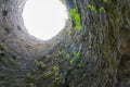 Circular stone tunnel with green leaves of plants and light at end Royalty Free Stock Photo