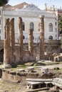 Circular temple columns. Remains of Pompeys Theatre. Ancient Campus Martius. Rome, Italy Royalty Free Stock Photo