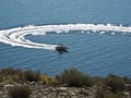 Circular wake from a boat