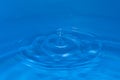 Circular water waves with a drop bounce on top Royalty Free Stock Photo