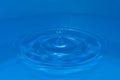 Circular water waves with a circular drop bounce on top Royalty Free Stock Photo