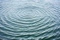 circular waves on a water surface caused by rain