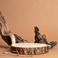 Circular Wood Slice Podium on Beige Background with Organic Tree Branches Royalty Free Stock Photo