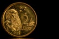 Circulated Australian 2 Dollar Coin Royalty Free Stock Photo