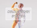 Circulatory system concept. Blood circulation text on 3d human body model with veins