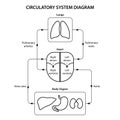 Circulatory system diagram labeled. Black and white illustration.