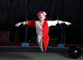 Circus air acrobat Royalty Free Stock Photo