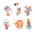 Circus Animal Performing Trick Juggling with Balls, Jumping Through Ring, Riding Monocycle and Balancing on Ball Vector Royalty Free Stock Photo