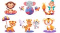 Circus animals, elephant standing on ball, monkey juggler, tiger jumping through fire ring and white doves. Modern Royalty Free Stock Photo
