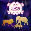 Circus animals performance show announcement, vector illustration. Retro cartoon style poster print with circus animals