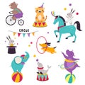 Circus Animals Performing Tricks with Sea Calf Juggling Balls and Hippo with Hula Hoop Vector Set