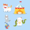 Circus cats vector cheerful illustration for kids with little domestic cartoon animals playing mammal