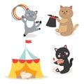 Circus cats vector cheerful illustration for kids with little domestic cartoon animals playing mammal