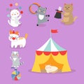 Circus cats vector cheerful illustration for kids with little domestic cartoon animals playing mammal