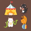 Circus cats vector cheerful illustration for kids with little domestic cartoon animals playing mammal