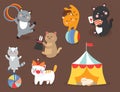 Circus cats vector cheerful illustration for kids with little domestic cartoon animals playing mammal