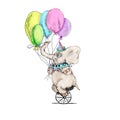 Circus character vintage elephant watercolor drawing clipart illustration isolated on white