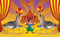 The circus with the clown and seals