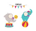Circus Elephant Animal With Ball Performing Trick Vector Illustration Set