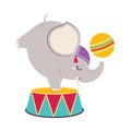 Circus Elephant Animal On Drum With Ball Standing On Front Legs Performing Trick Vector Illustration