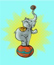 Circus elephant cartoon icon vector illustration graphic design