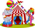 Circus elephant and clown with carnival background Royalty Free Stock Photo