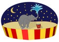 Circus elephant