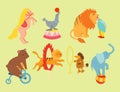 Circus funny animals set of vector icons cheerful zoo entertainment Royalty Free Stock Photo