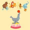 Circus funny animals set of vector icons cheerful zoo entertainment collection juggler pets magician performer carnival Royalty Free Stock Photo