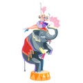 Circus elephant and girl on white background.